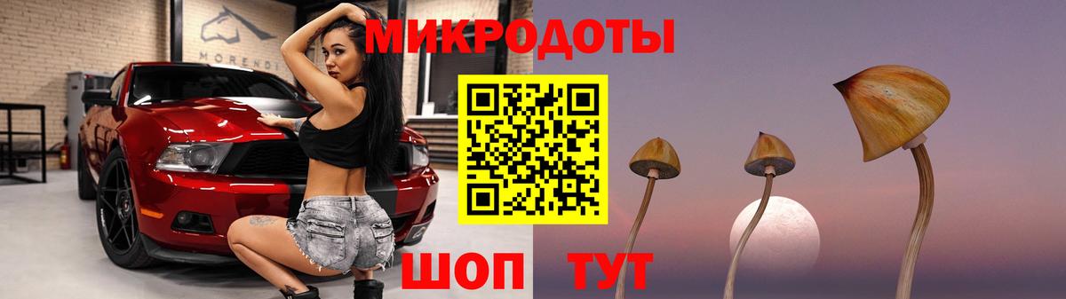 Псилоцибиновые грибы мицелий Славгород